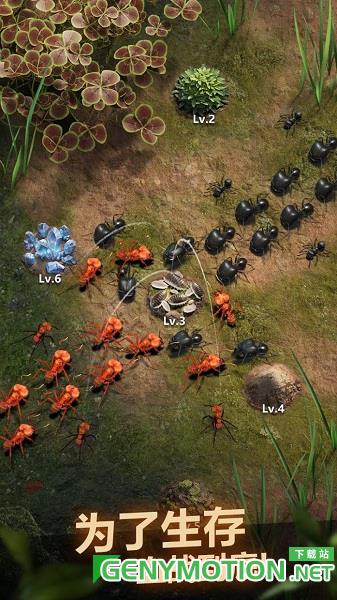 小小蚁国国际版(The Ants) v1.64.0安卓版 1