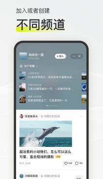 迷岛社交 v1.7.3安卓版 1