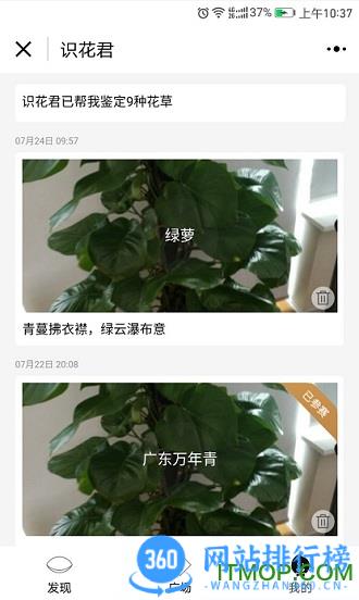 识花君免费版
