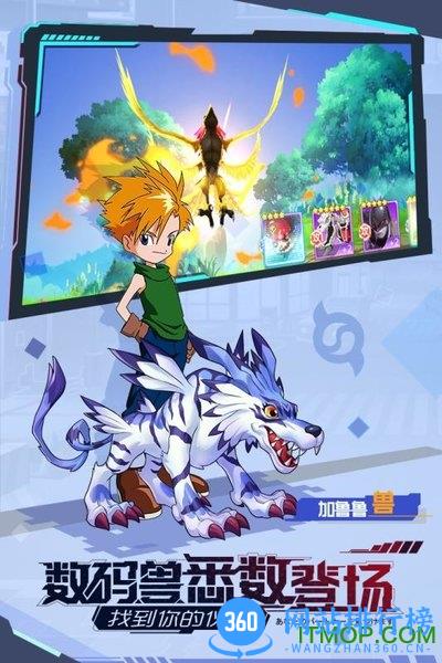 宠物集结游戏 v1.0 安卓版 2
