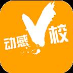 动感v校山政