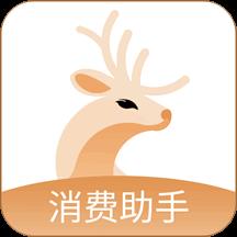小鹿发现