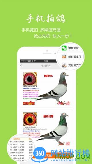 中国信鸽信息网 中国信鸽信息网app