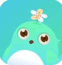 婚礼乎视频app
