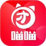 喵喵团