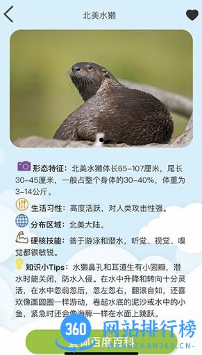 Volnau v1.1.14 官方安卓版本 0