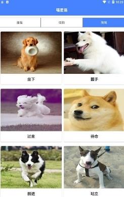 萌趣猫狗翻译器手机版 v1.2.6安卓版 1