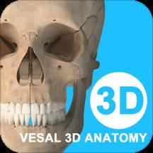 维萨里3d解剖全解锁