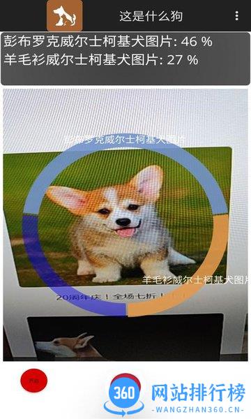 这是什么狗 v1.0.1 安卓版 2