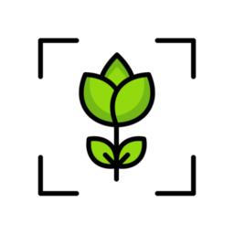 专注自律官方版