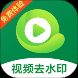 视频去除水印软件