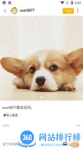 萌宠大陆