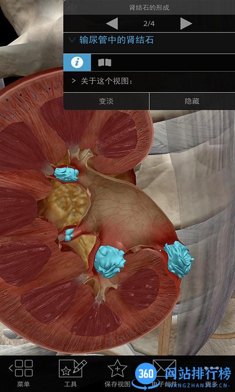 3D生理和病理学 3D生理和病理学app