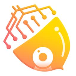 松果Cam摄像机