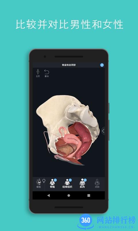 Complete Anatomy 2022(解剖教学平台) Complete Anatomy 2022(解剖教学平台)