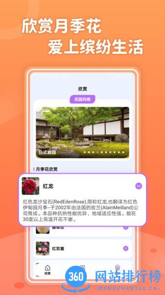 小小花园手机版 v337.101 安卓版 3