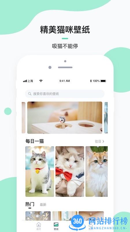 每日一猫壁纸 每日一猫壁纸