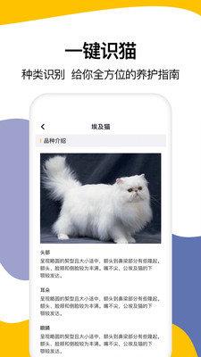 猫语翻译大全 猫语翻译大全app下载