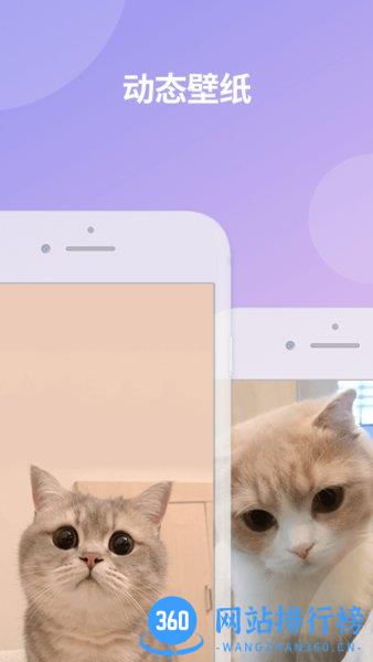 每日壁纸手机版 v3.5.9 安卓版 2