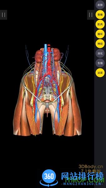 3dbody解锁vip破解版 v8.2.5 安卓版 3