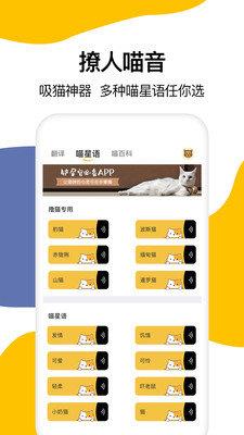 猫语翻译大全 v1.6 安卓版 3