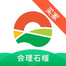 会理石榴