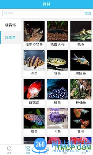 泡泡水族(水族社交圈) v2.1.3 安卓版 4
