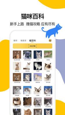 猫语翻译大全 v1.6 安卓版 0
