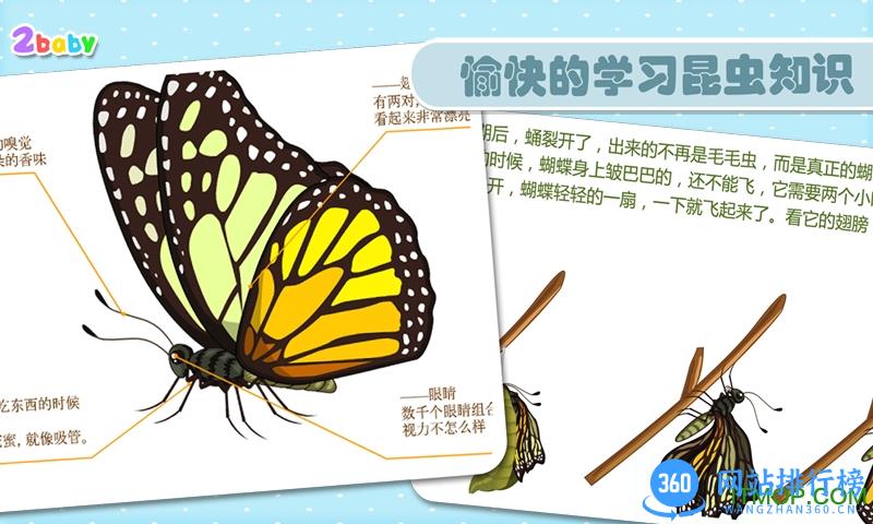 传奇蝴蝶(儿童教育) v1.1 安卓版 2