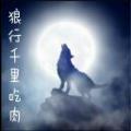 随意玩空间app