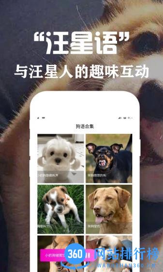 狗语翻译交流器app v3.1安卓版 3