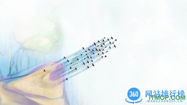 千山飞鸟下载.apk