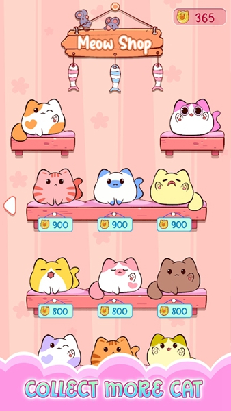 音乐猫世界