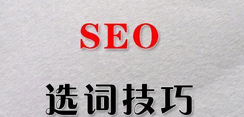 如何利用SEO技巧提升网站排名（提高网站搜索可见性）