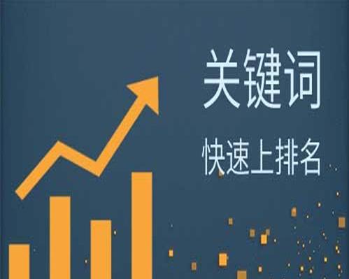 网站优化排名全丢掉了怎么办