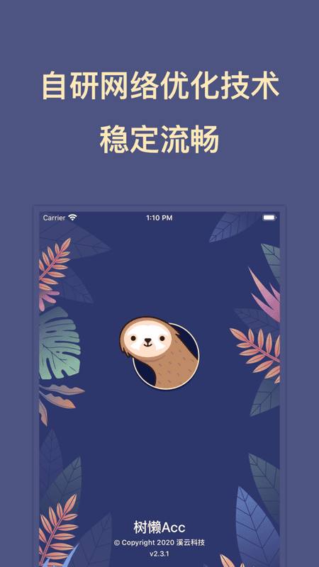 树懒Acc加速器最新版 v2.9.5 安卓版 2