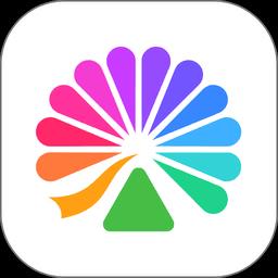 大麦国际app