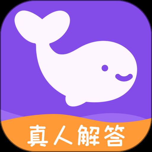 准准软件