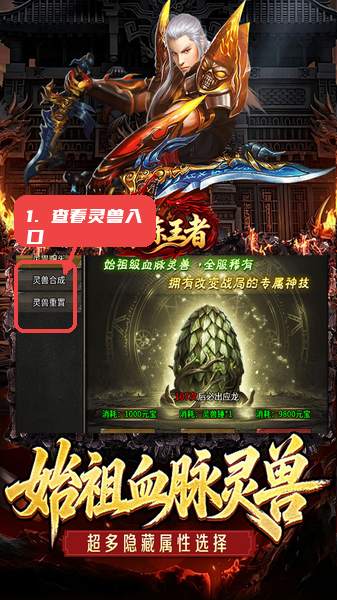 百炼王者教程图:第二步,查看灵兽入口。 查看灵兽入口。