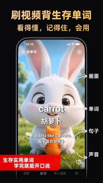 阿美英语app永久免费版 v2.0.3 安卓版 0