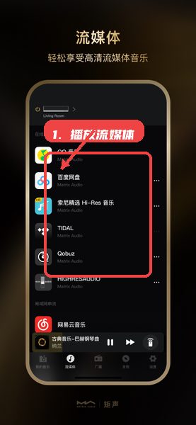 播放流媒体音乐。