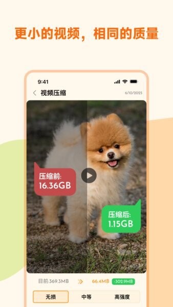 照片狗下载