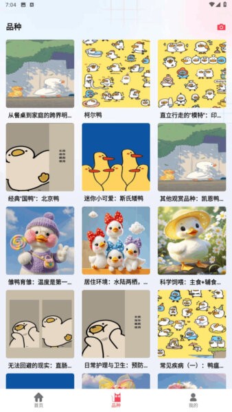 鸭鸭庄园正版 v1.2 安卓版 1